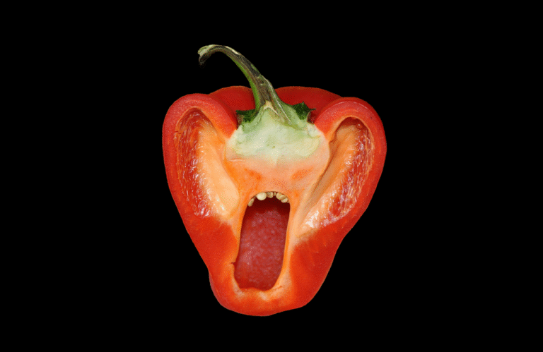 Poivron rouge coupé en deux, en forme de visage humain expressif, utilisé comme métaphore visuelle pour illustrer l’intensité sensorielle d’un plat traditionnel africain partagé dans le récit gastronomique de Berwin Sydney